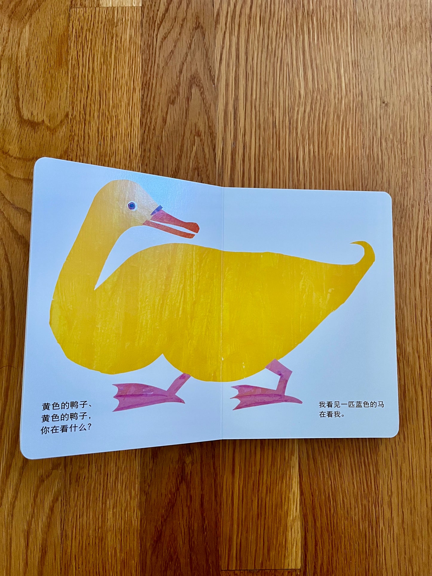 Brown Bear, Brown Bear, What Do You See? | Chinese board book