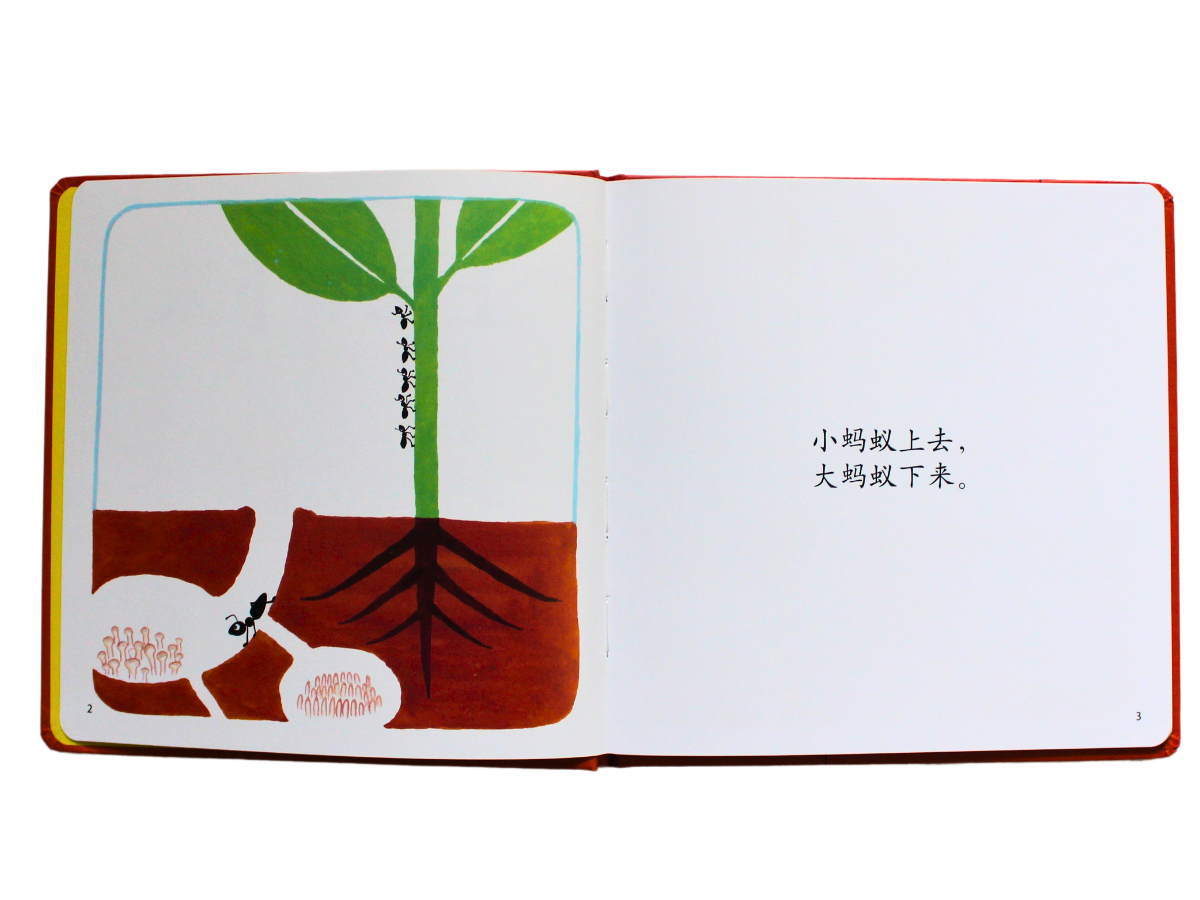 Internal pages of up and down Chinese book about prepositions featuring animal vocabulary for Chinese kids