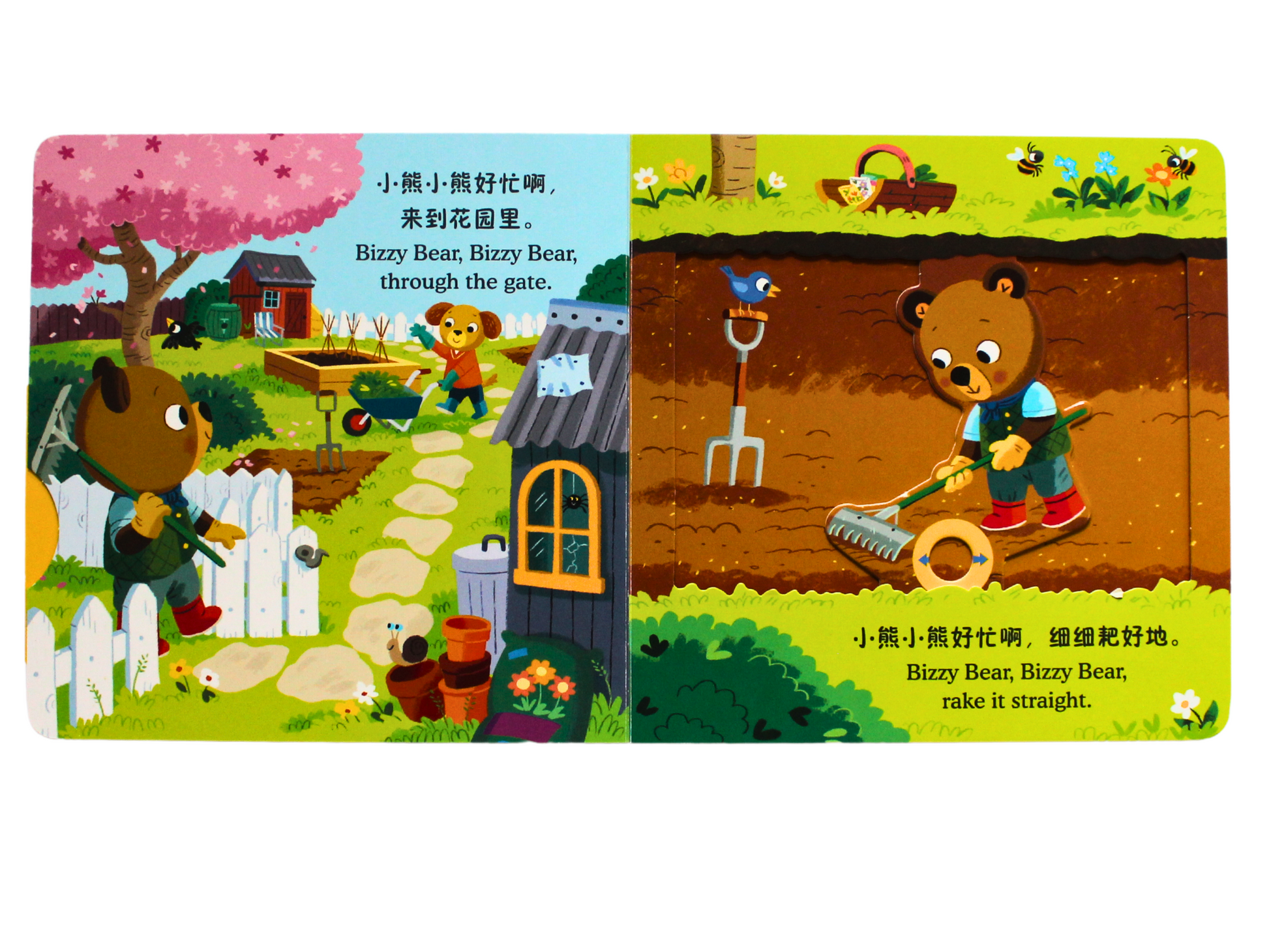 Inside pages of bilingual chinese pinyin board book for toddlers bizzy bear gardening nature