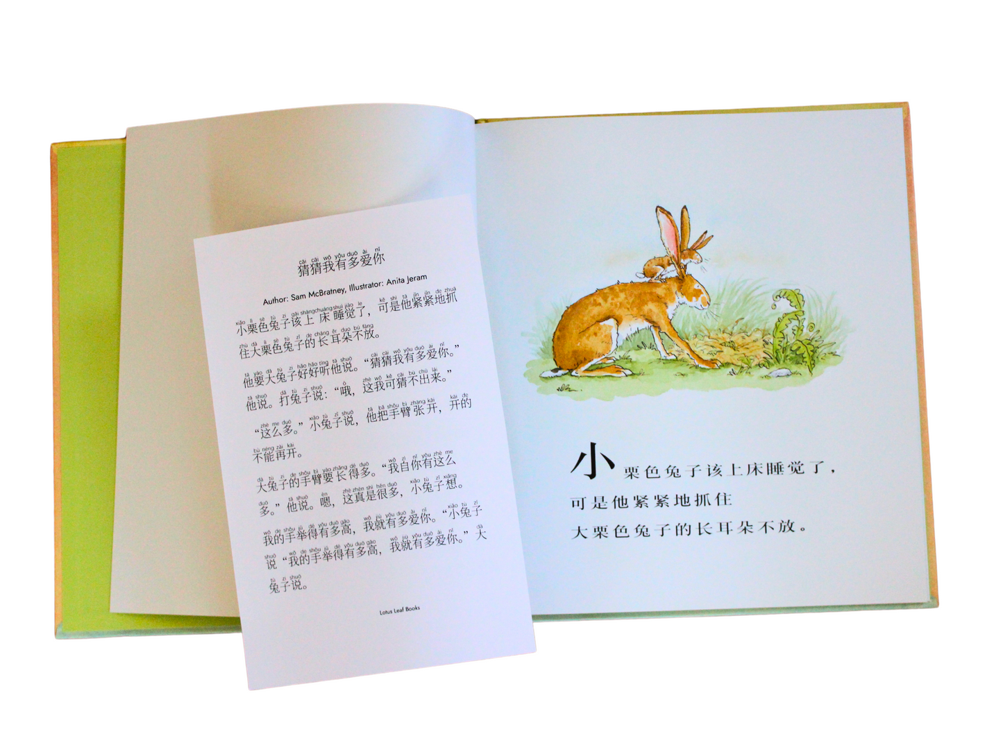 simplified chinese pinyin guess how much I love you book