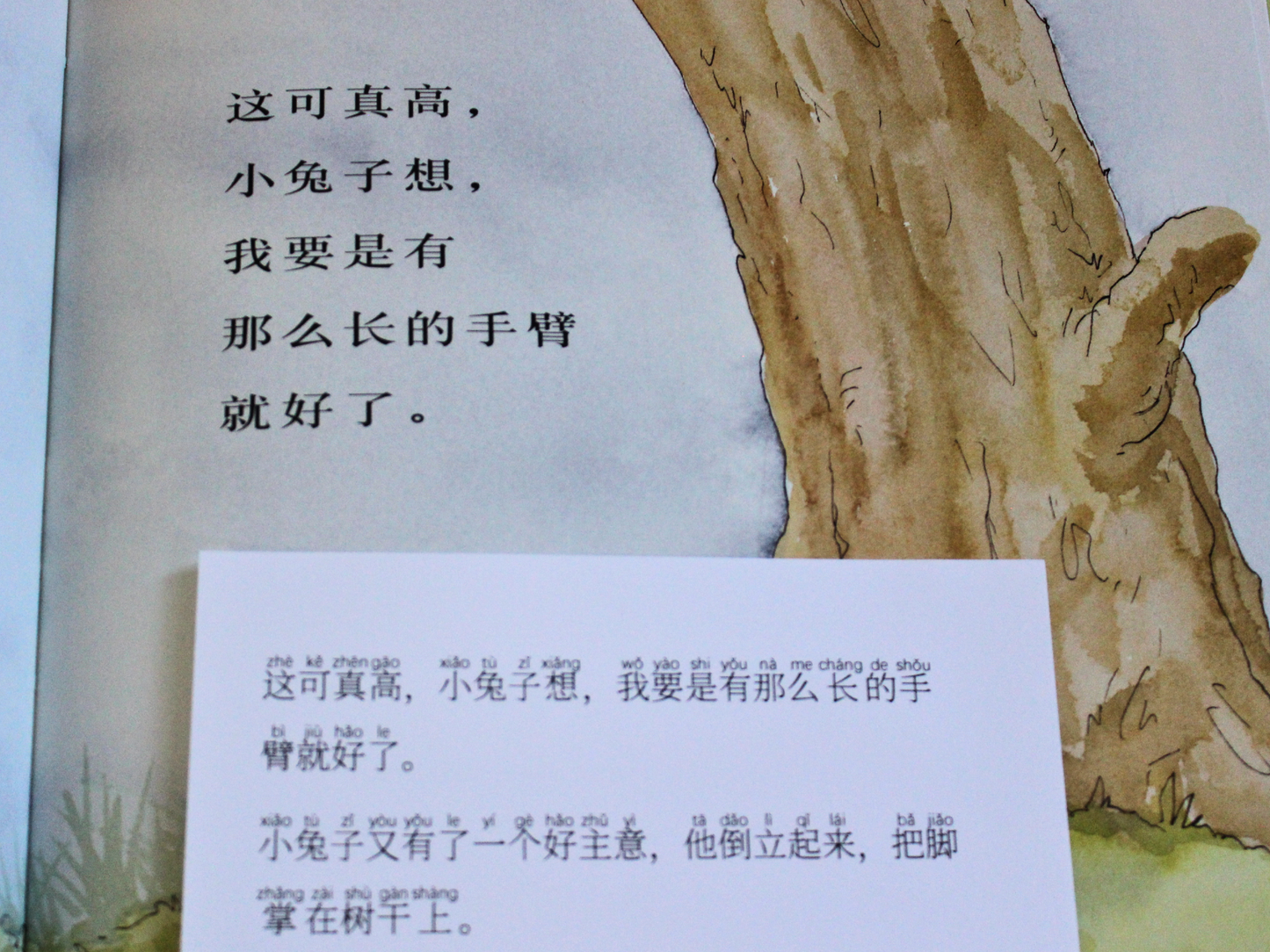 translated american childrens book chinese guess how much I love you