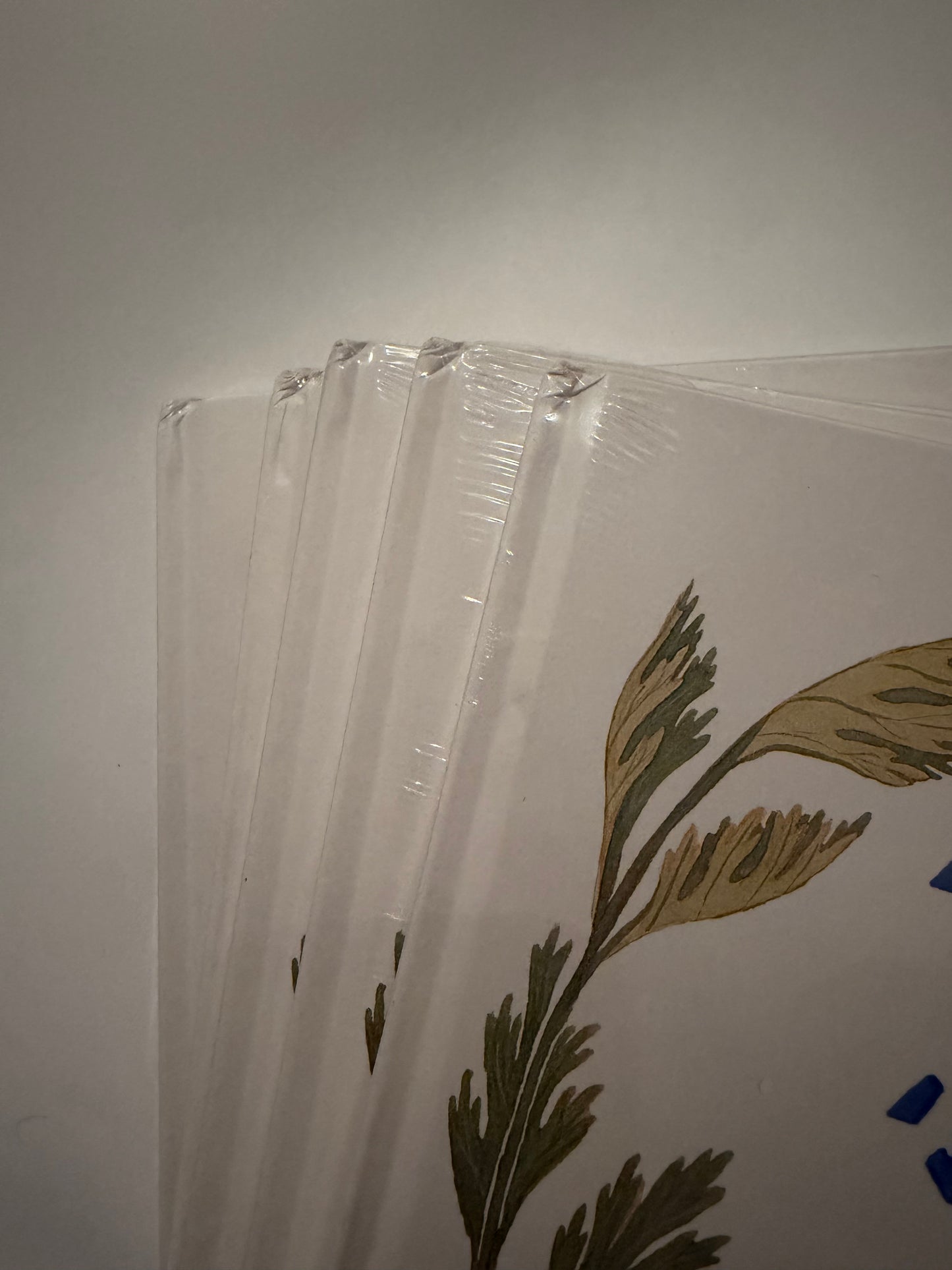 Little Zongzi, Little Zongzi 小粽子，小粽子 ｜ Picture book about dragon boat festival