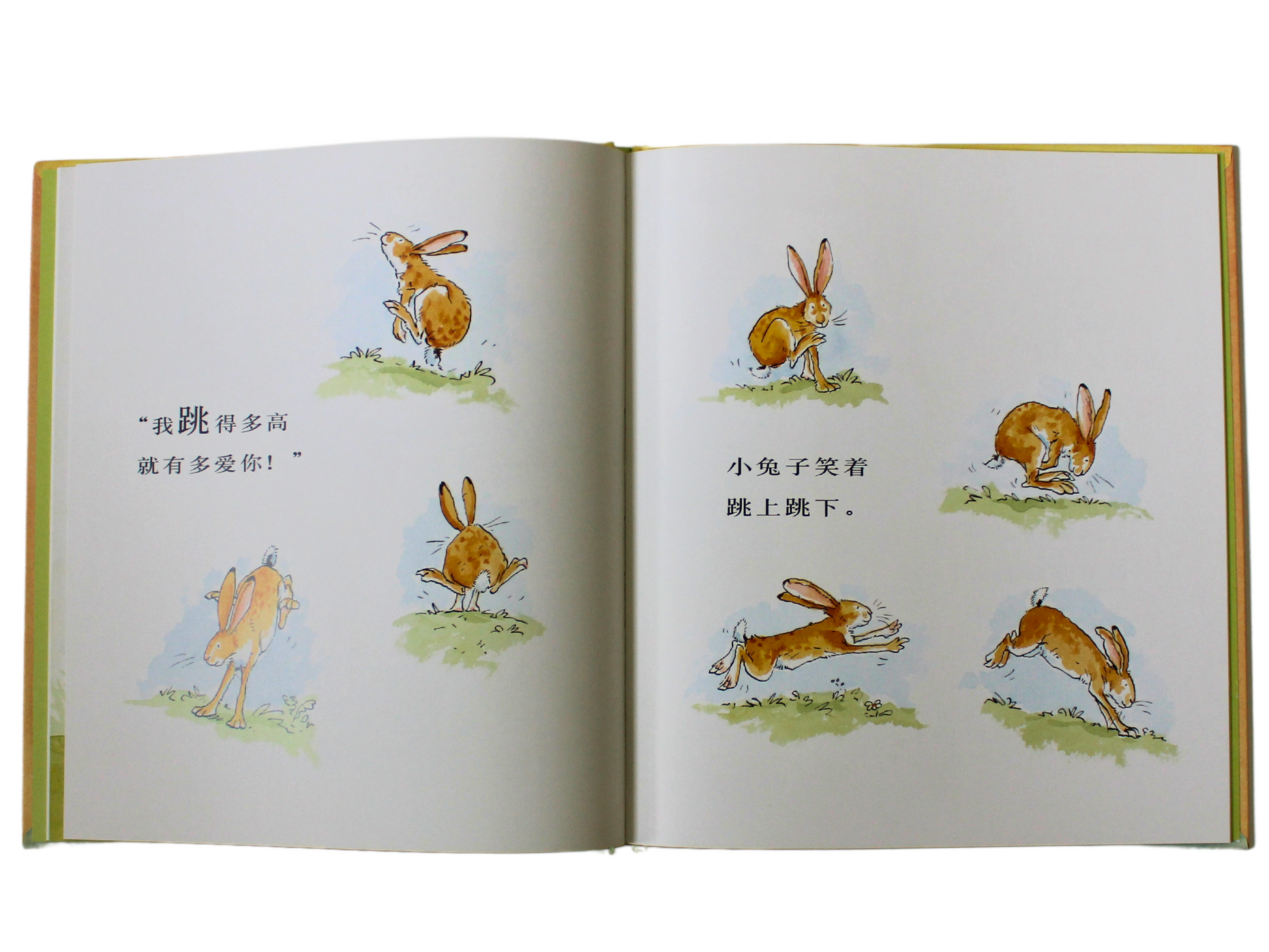 simplified chinese pinyin guess how much I love you book