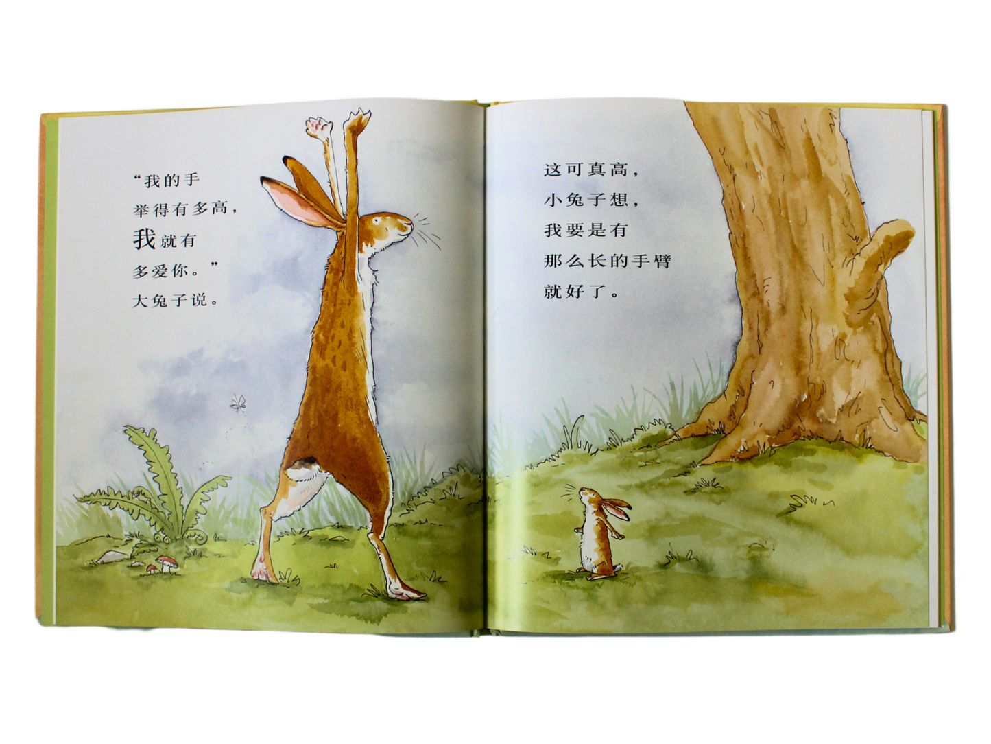 simplified chinese pinyin guess how much I love you book