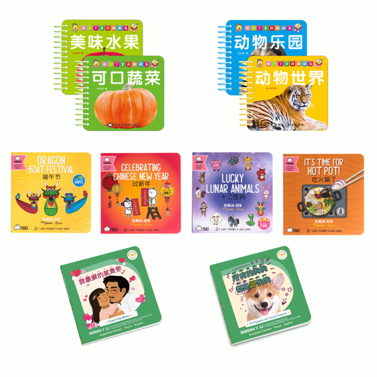 10 board book bundle simplified chinese bilingual with pinyin for babies and toddlers