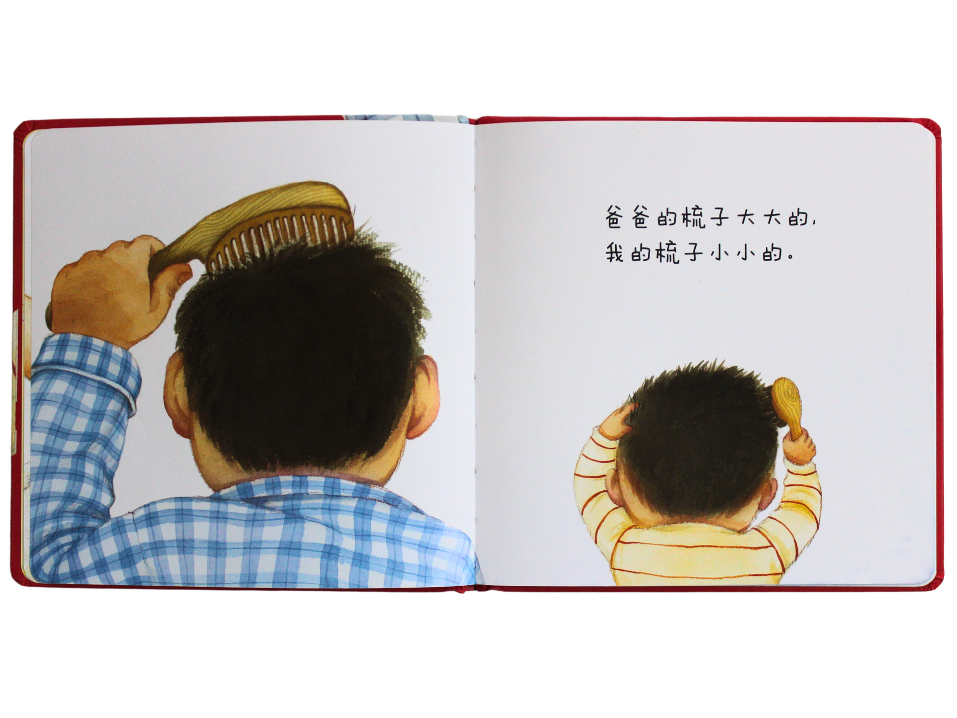 chinese children's book with pinyin hardcover household objects family