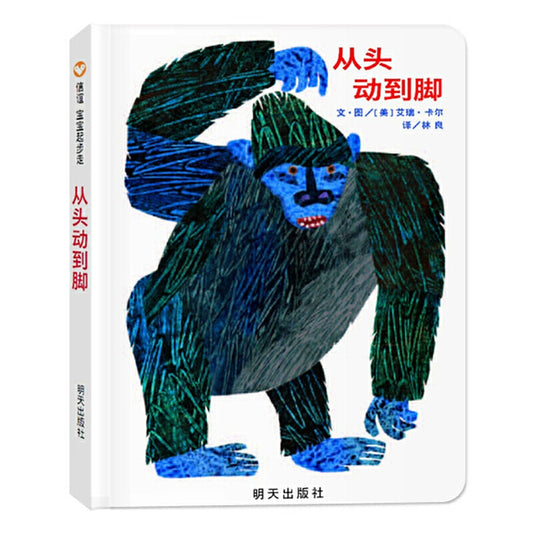 cover of from head to toe chinese board book with pinyin guide about body parts for toddlers and preschool children